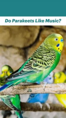 Do Parakeets Like Music? And Other Associated Discoveries