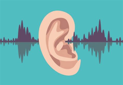 which ear hears music better: An Intriguing Inquiry into Musical Perception and Personal Preferences