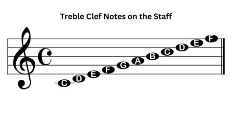 which phrase describes the parts of a basic music staff? The treble clef is often considered the most important part of the music staff.